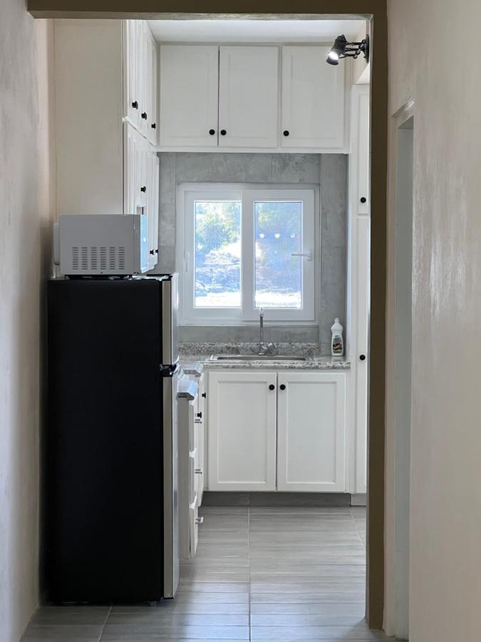 Sealavie Apartments - Grenada St. George's Екстер'єр фото